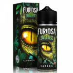 Skinz Furiosa - Caraka